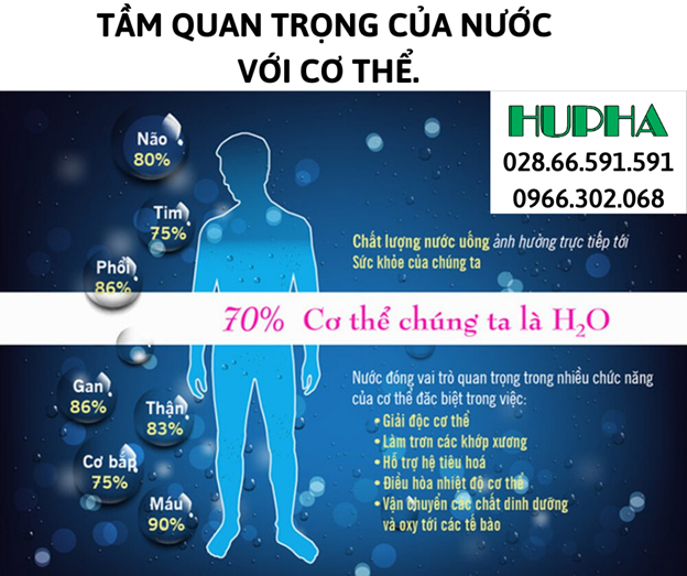 Tìm hiểu nhu cầu nước của cơ thể hàng ngày bao nhiêu !